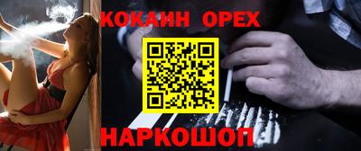 крисы Гусев