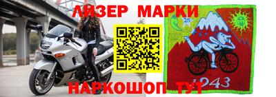 крисы Гусев