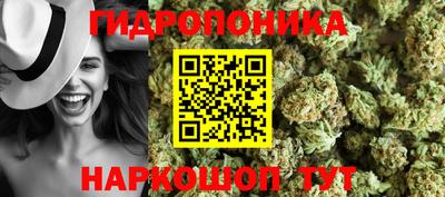 трава Гусиноозёрск