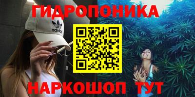 крисы Гусев