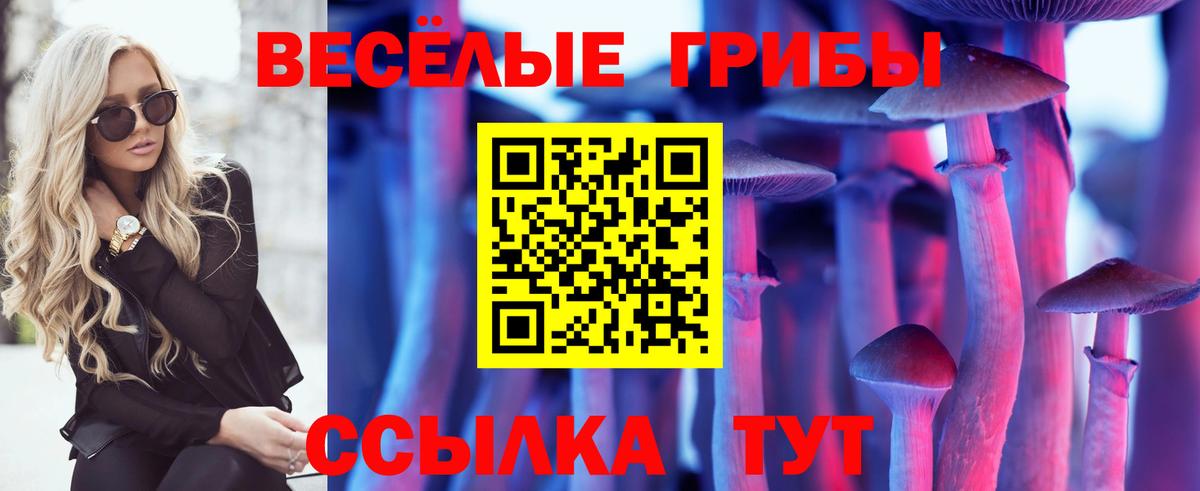 Галлюциногенные грибы Psilocybe  Вход с VPN  Псилоцибиновые грибы Magic Shrooms  Курганинск 