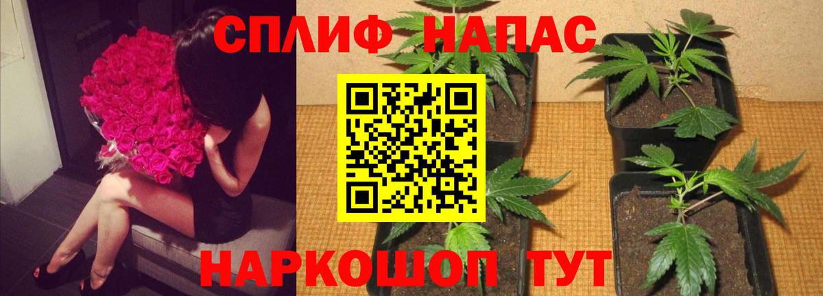 Марихуана сатива  Марихуана SATIVA & INDICA  Марихуана план  Вход с VPN  Бошки марихуана марихуана  Курганинск 